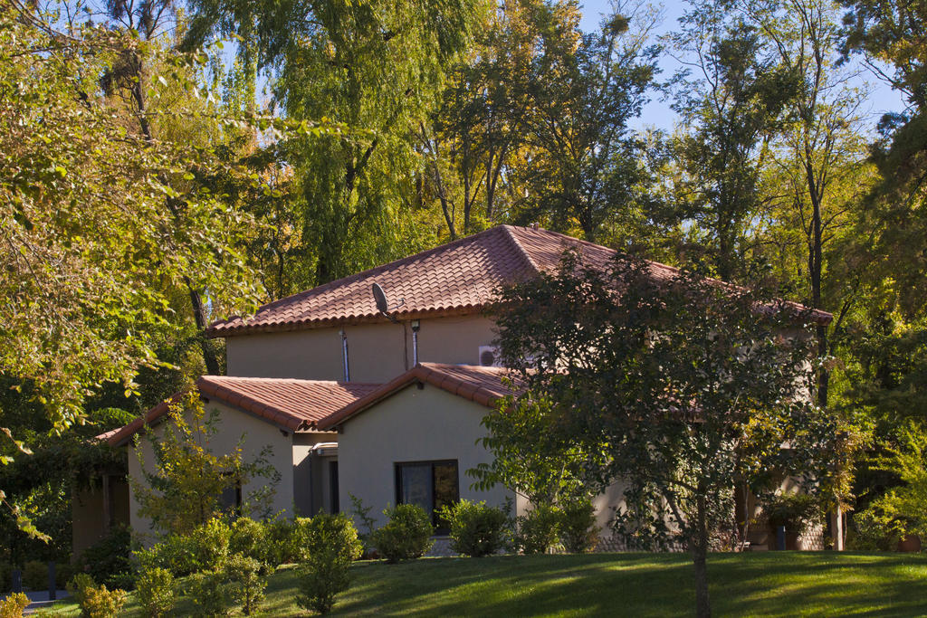 Posada Salentein Los Árboles 객실 사진